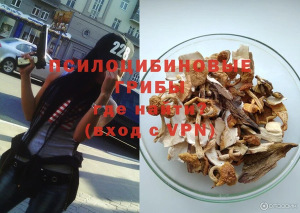 меф Белокуриха