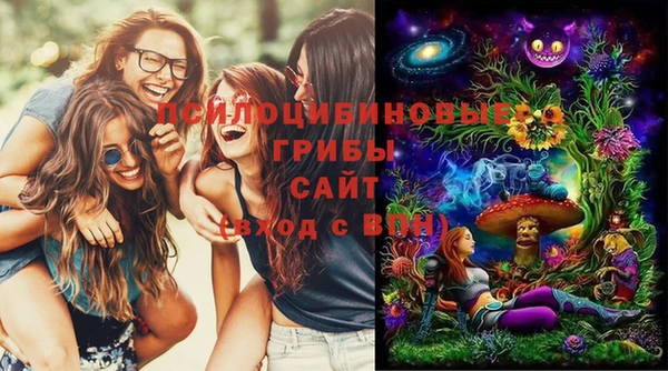 меф Белокуриха