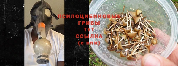 каннабис Баксан