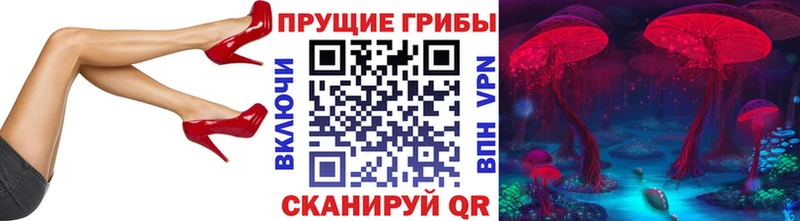 Купить  Северобайкальск  Галлюциногенные грибы мицелий 